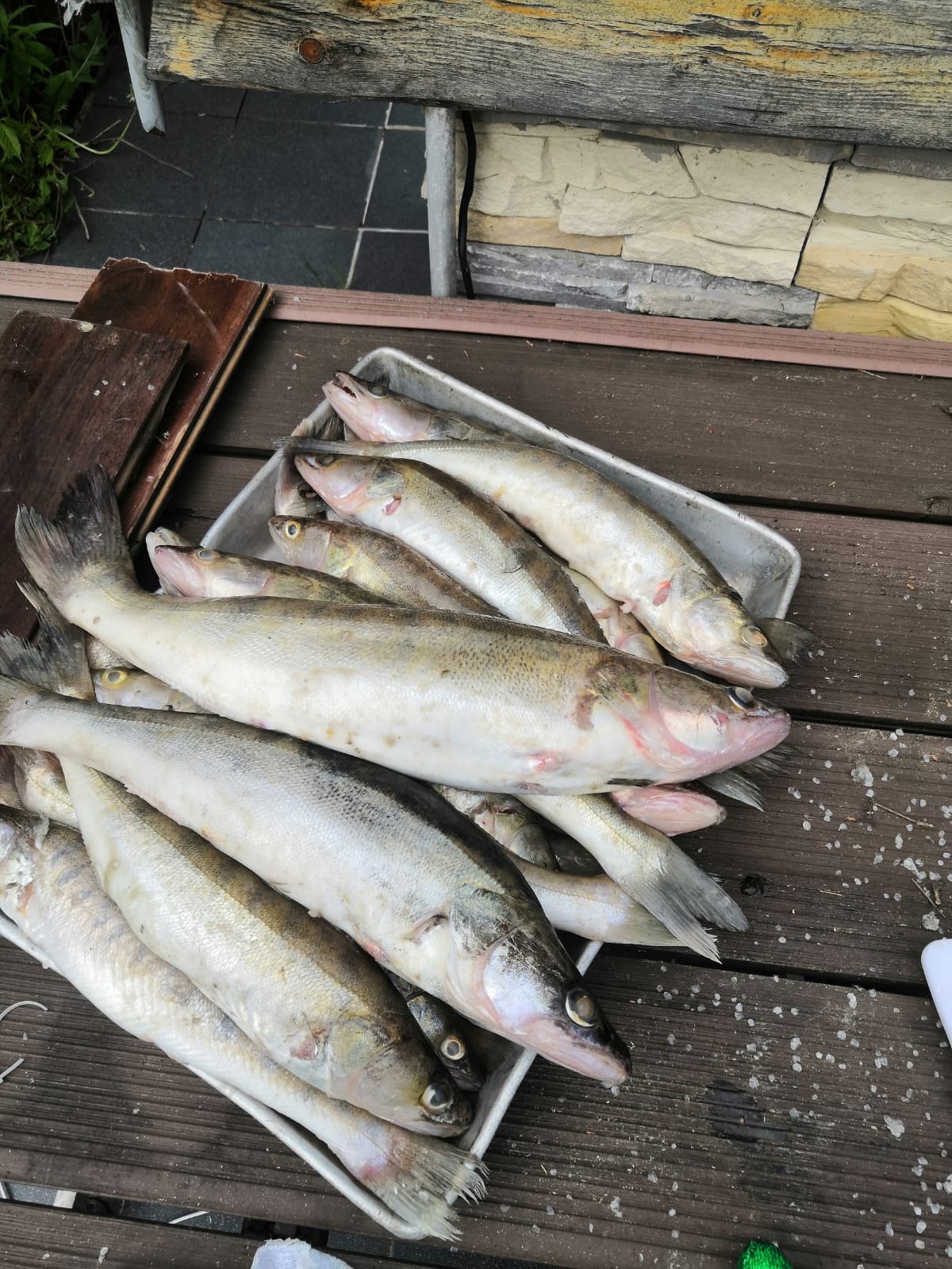 Отчет о рыбалке на реке Яуза