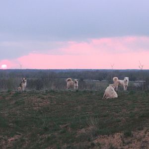 Рыбалка без рыбалки в Апреле 2007