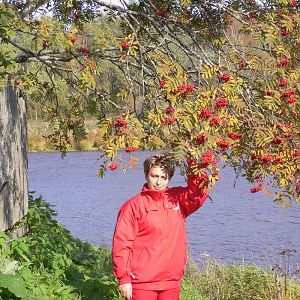 Архангельская область