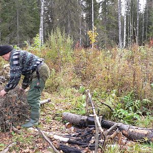 Архангельская область