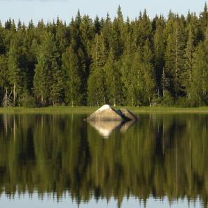 Рыбалка в Водлозёрье