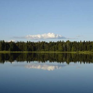 Рыбалка в Водлозёрье