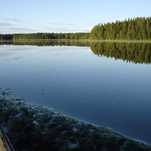 Рыбалка в Водлозёрье