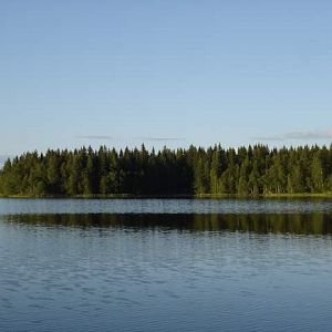 Водлозёрский национальный парк