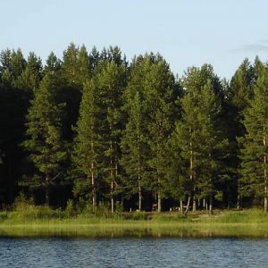 Водлозёрский национальный парк