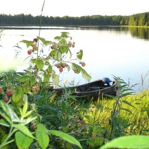 Водлозёрский национальный парк