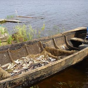 Водлозёрский национальный парк