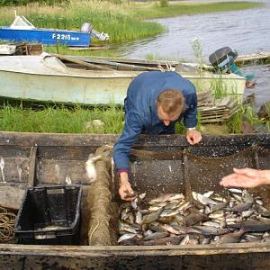 Водлозёрский национальный парк