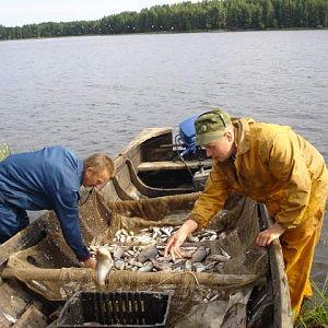 Водлозёрский национальный парк