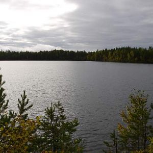 Водлозёрский национальный парк