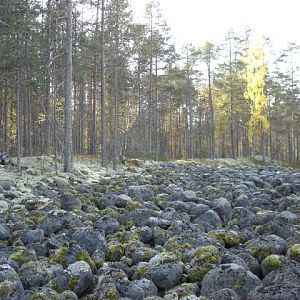 Водлозёрский национальный парк