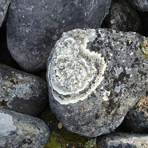 Водлозёрский национальный парк