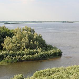 Вид и окна на Грачевку с Волгой