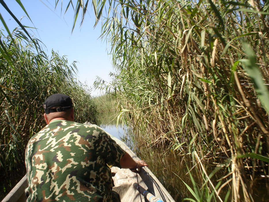 Погода бирючья коса астраханская область на месяц. Село Бирючья коса Астраханской области. Рыбалка в Астрахани Бирючья коса.